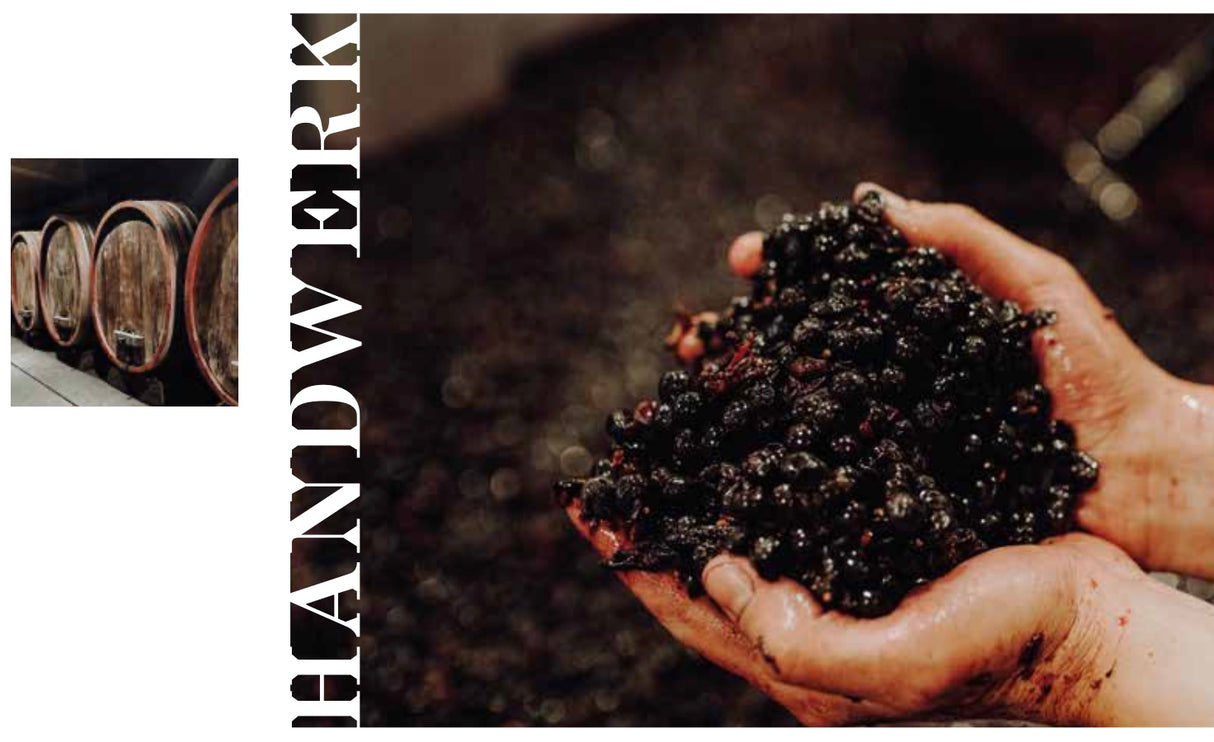 BRAUNEWELL Brut de Selztal 2022