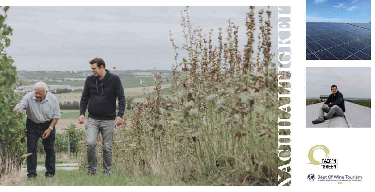 BRAUNEWELL Brut de Selztal 2022