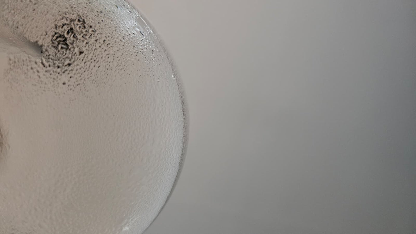 Sektglas Sekt Schaumwein Sparkling Berlin