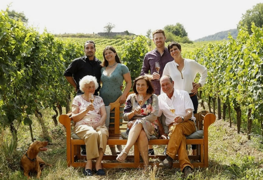 MOTZENBÄCKER Riesling Kalkstein Brut