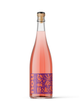 NOU Alkoholfrei Piwi Kollektiv Bio